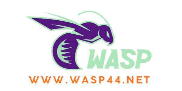 wasp44 - logo